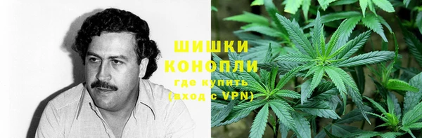 ПСИЛОЦИБИНОВЫЕ ГРИБЫ Карталы