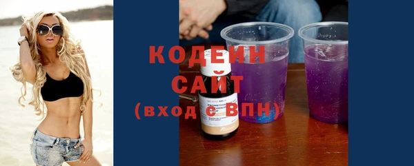 стафф Каменка