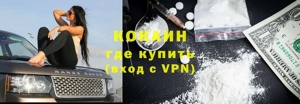 стафф Каменка