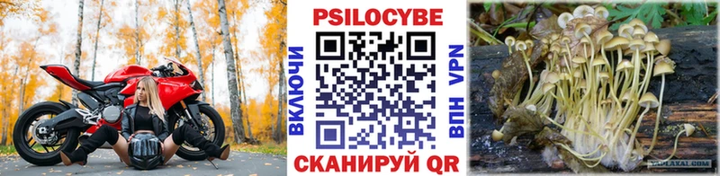 Галлюциногенные грибы Cubensis  Купить где  Новохопёрск 