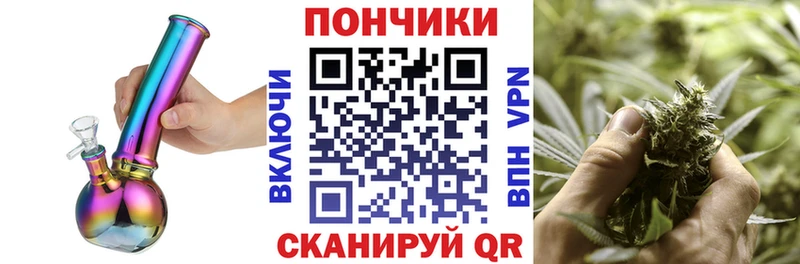 Купить закладки  Новохопёрск  Конопля AK-47 